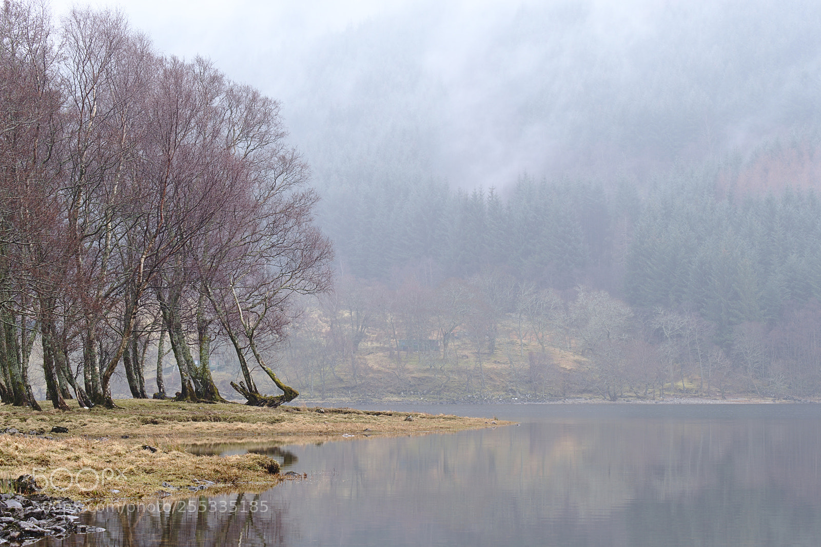 Fujifilm X-T2 sample photo. Trees in mist, loch photography
