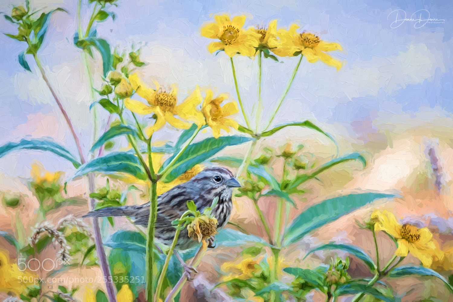 Canon EOS 7D Mark II sample photo. Song sparrow in the photography