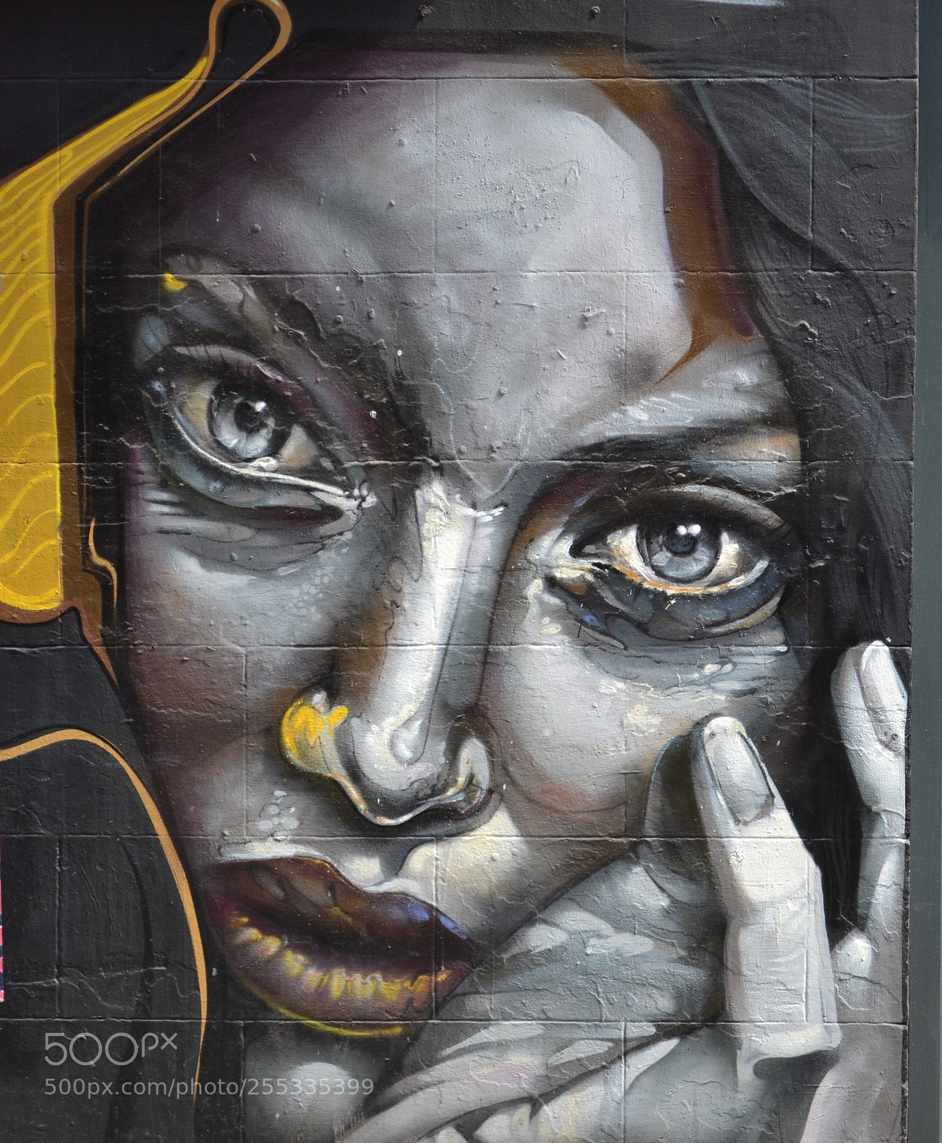 Nikon D3100 sample photo. Street art () photography