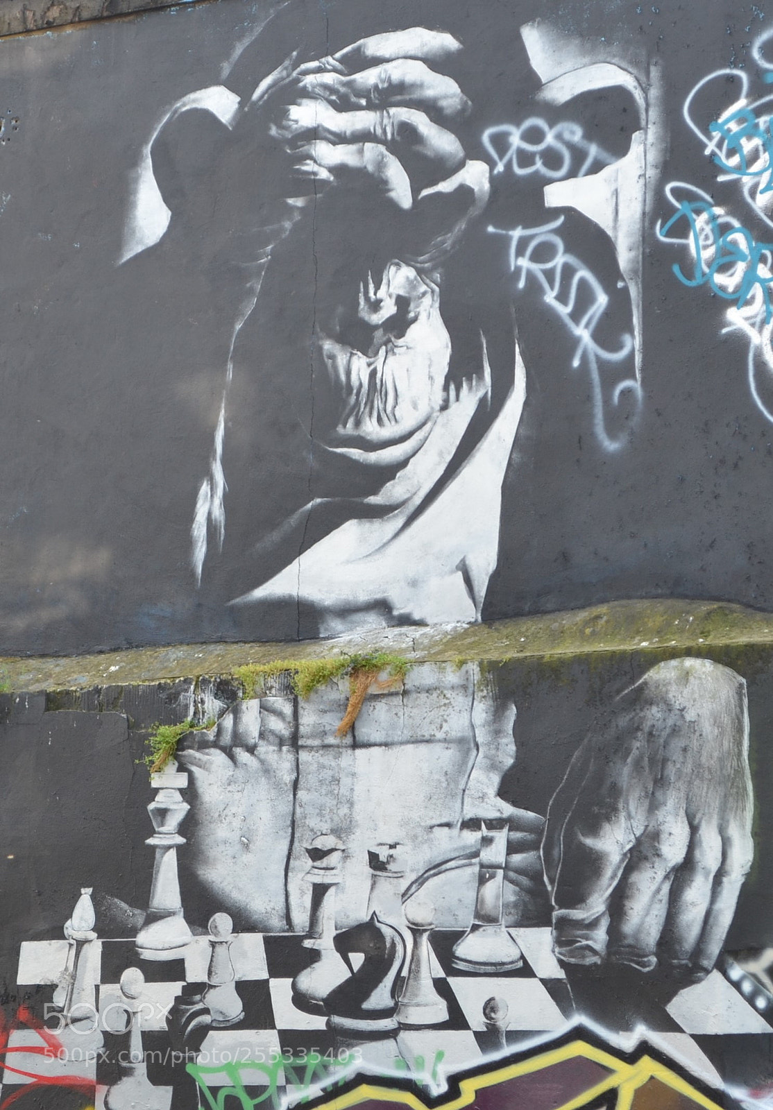 Nikon D3100 sample photo. Street art () photography