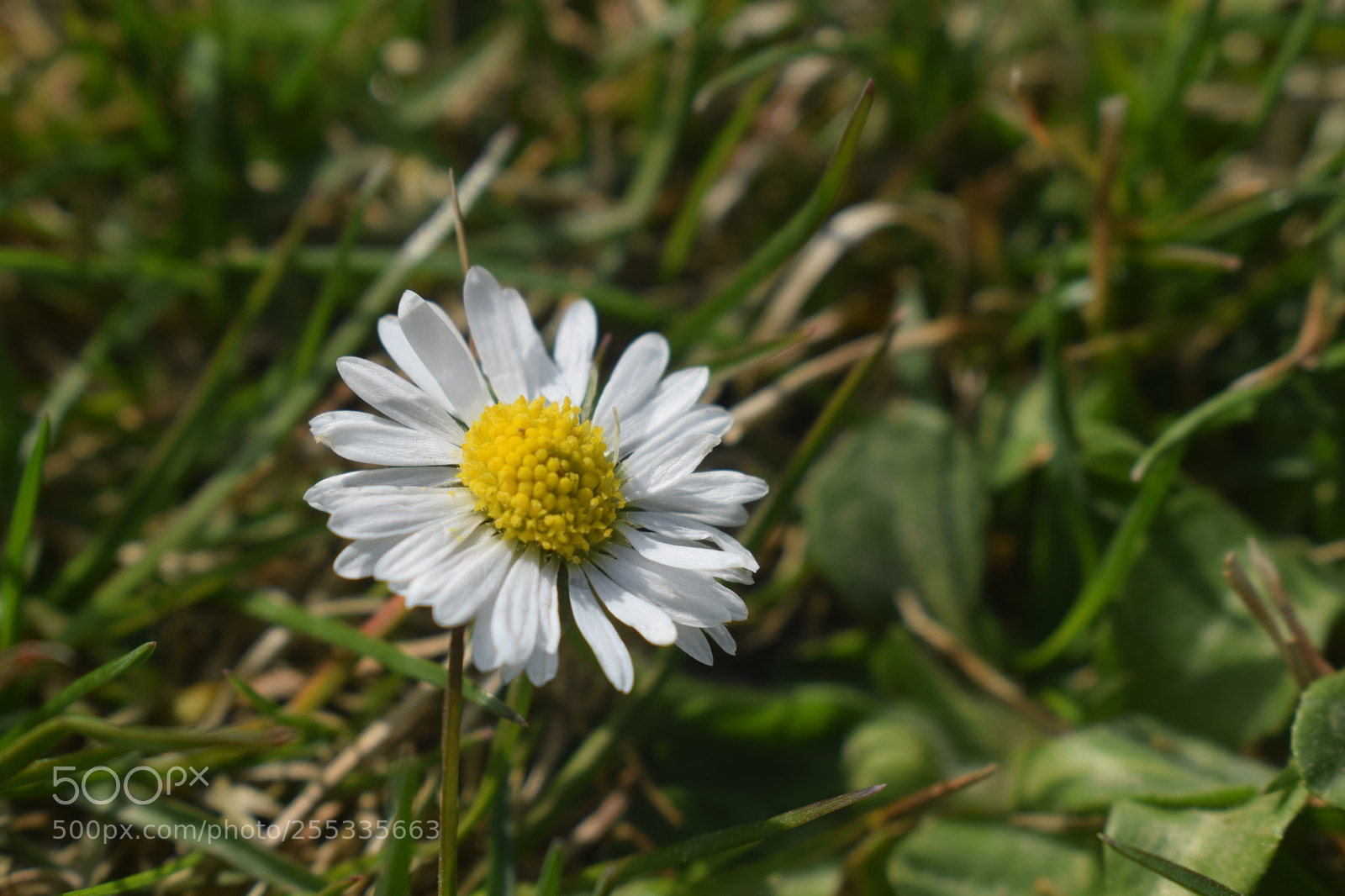 Nikon D5300 sample photo. Untitled photography
