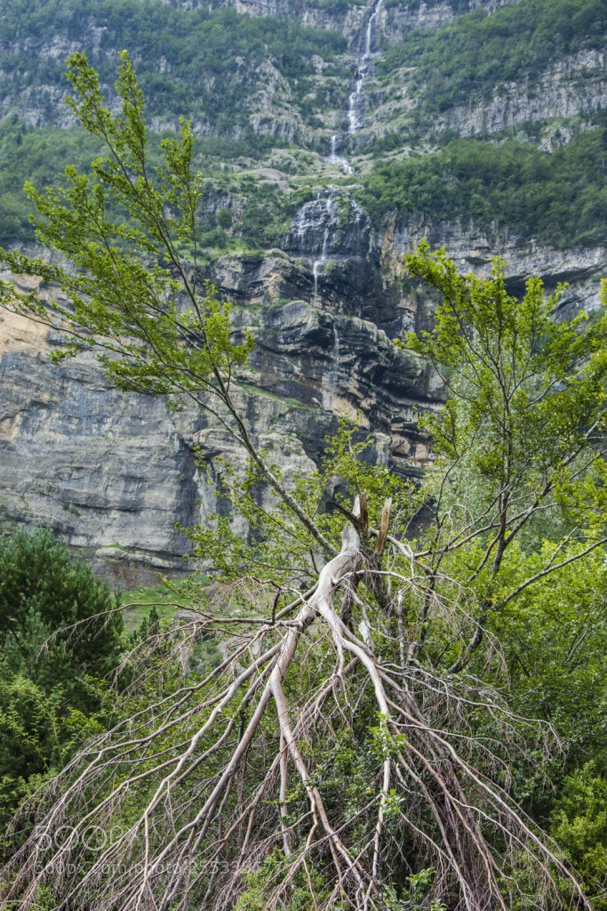 Nikon D7200 sample photo. Pirineo2 photography