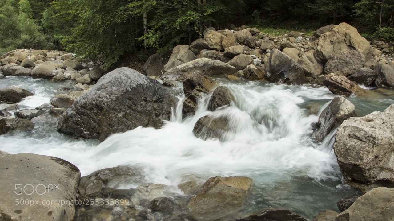 Nikon D7200 sample photo. Cara de...... photography