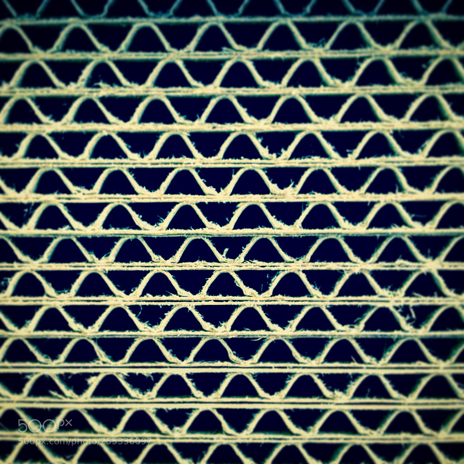 Apple iPhone 4S sample photo. Untitled photography