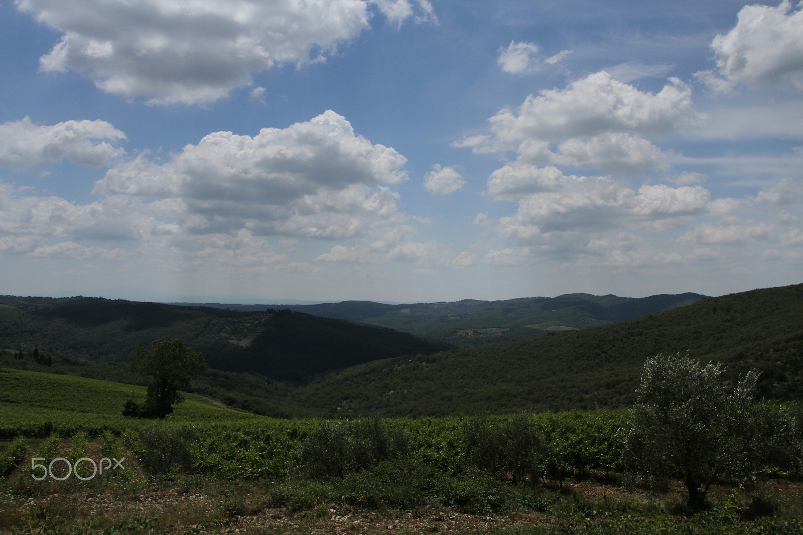 Canon EOS 7D + Canon EF 17-40mm F4L USM sample photo. Chianti, tuscany, italy photography