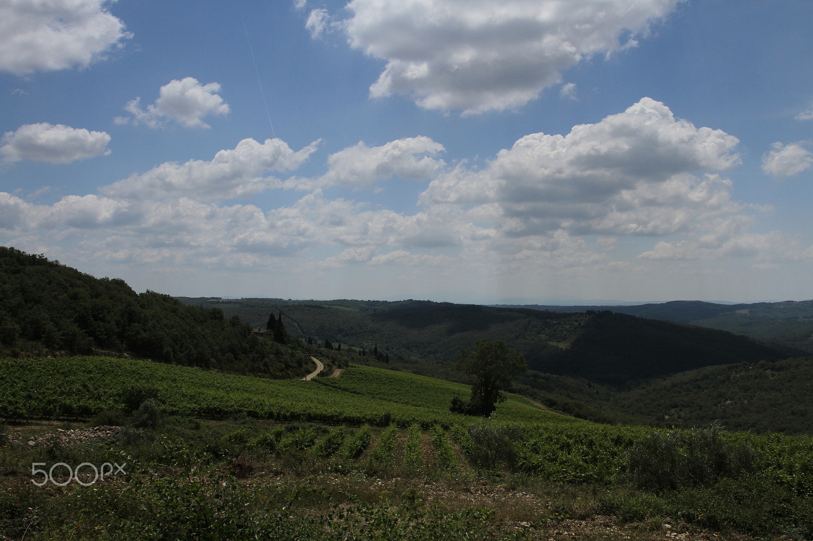 Canon EOS 7D + Canon EF 17-40mm F4L USM sample photo. Chianti, tuscany, italy photography