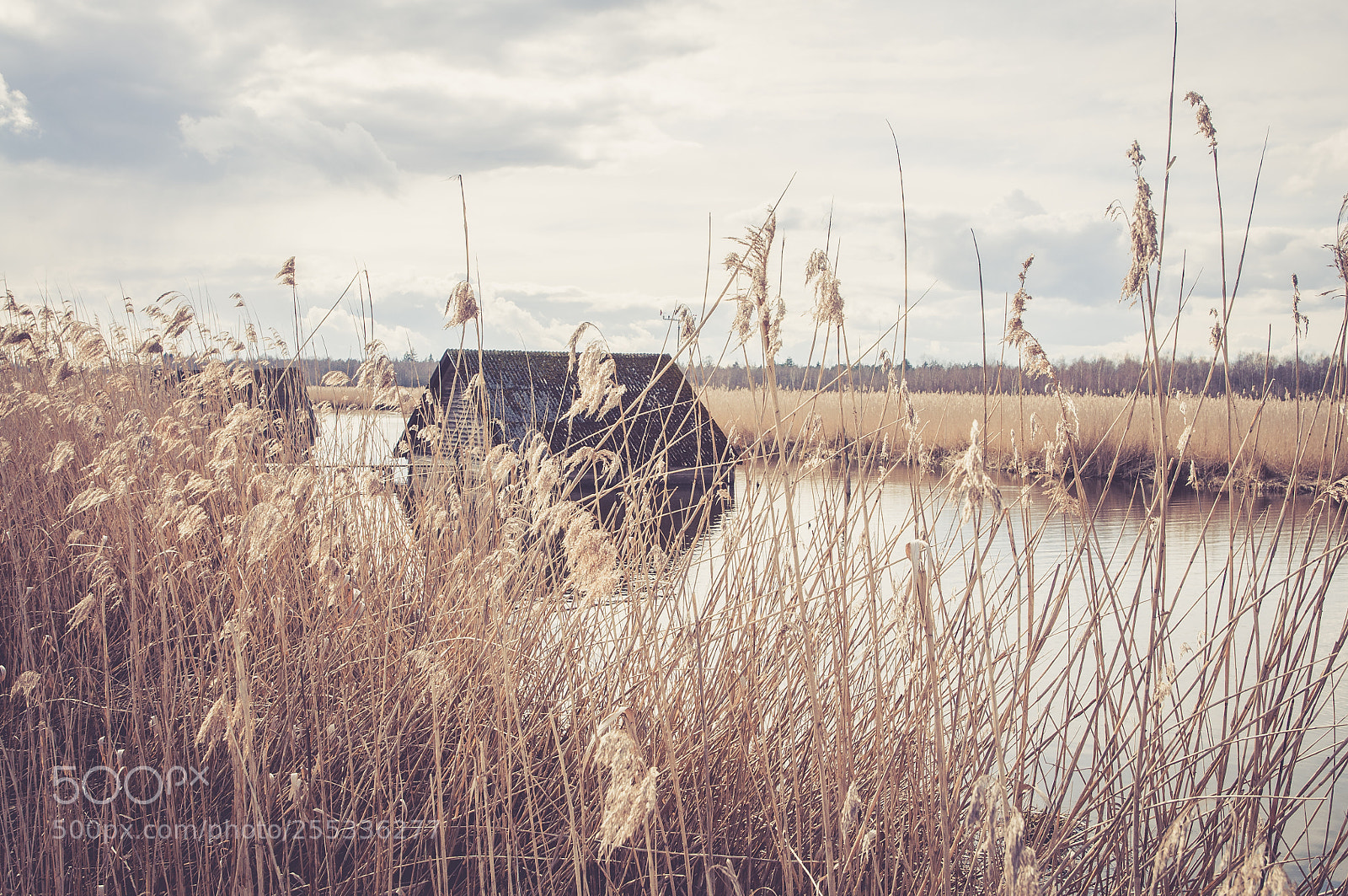 Nikon D90 sample photo. Shack in the lake photography