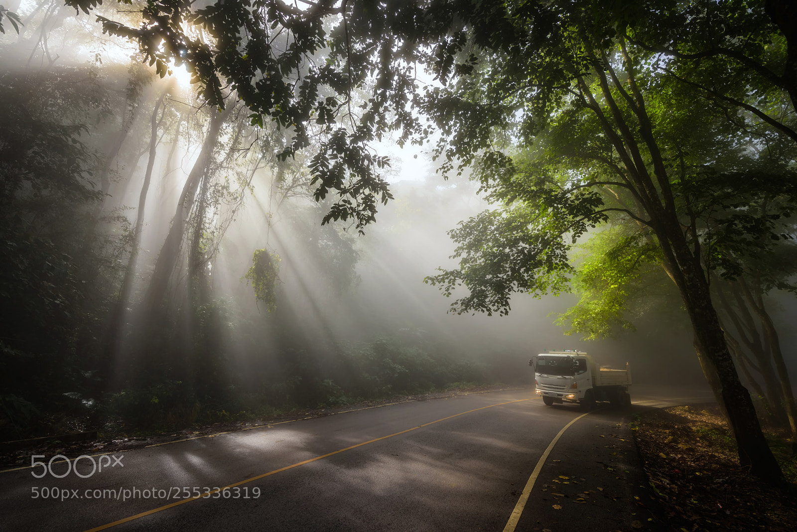 Nikon D810 sample photo. Cargo truck at misty photography