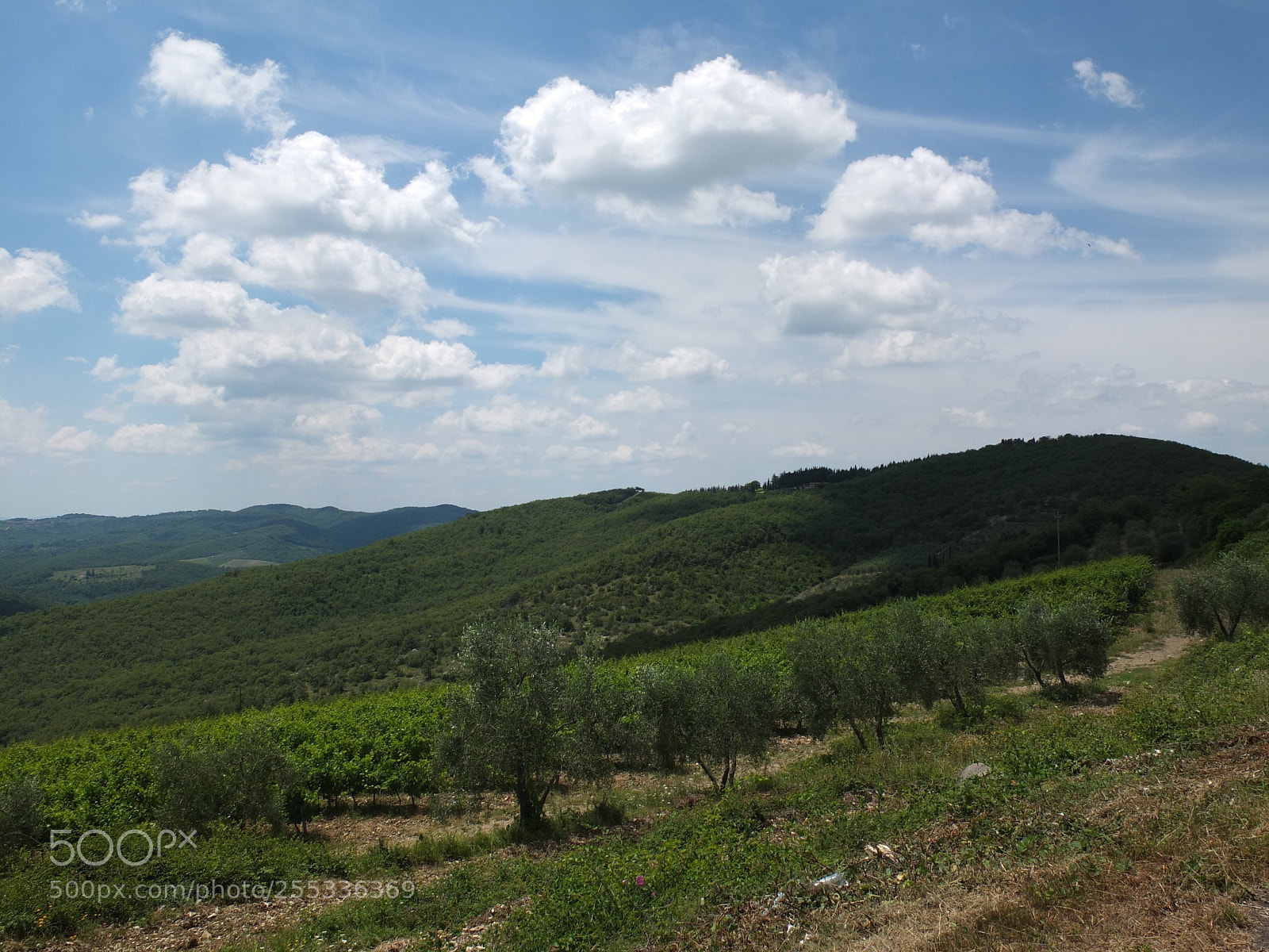 Fujifilm X10 sample photo. Tuscany, italy. photography