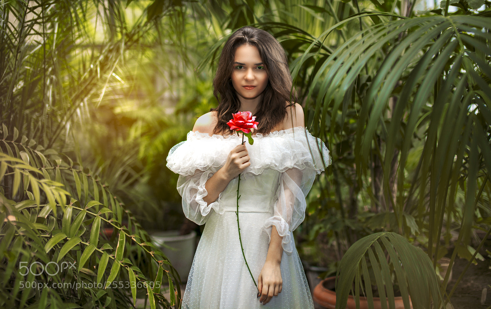 Canon EOS 5D Mark II sample photo. Mg photography