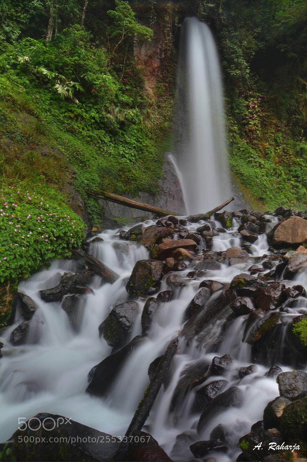 Nikon D7100 sample photo. Fall 24 photography