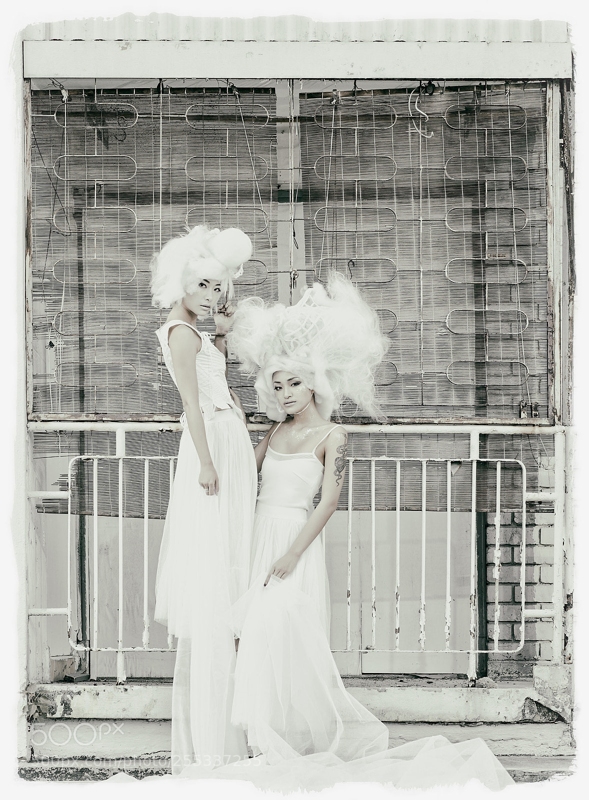 Hasselblad X1D-50c sample photo. White goddess - vonny photography