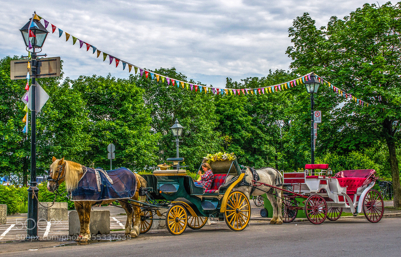 Nikon D7000 sample photo. Summer in montreal photography