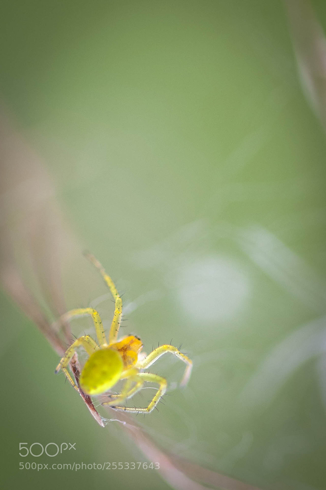 Nikon D50 sample photo. In to the light photography
