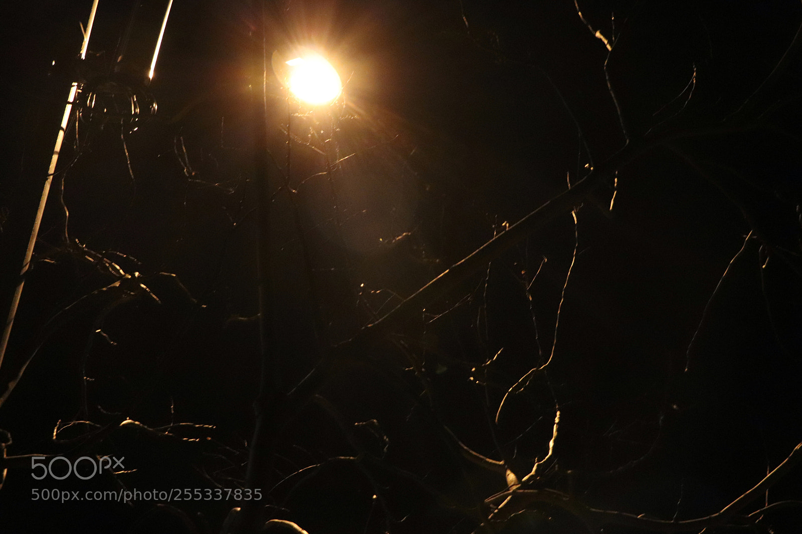 Canon EOS 77D (EOS 9000D / EOS 770D) sample photo. Untitled photography