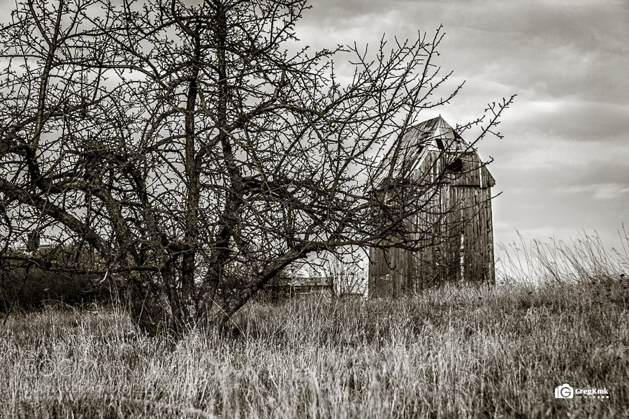 Canon EOS 80D sample photo. Post mill on hill photography