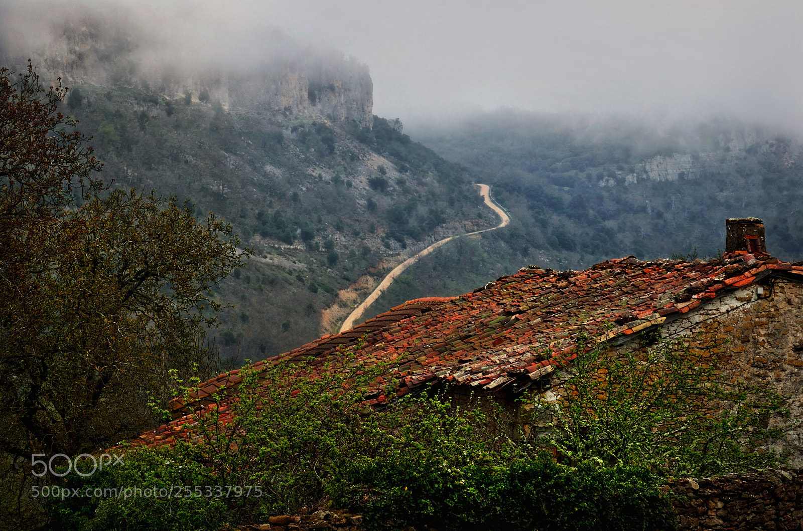 Nikon D7000 sample photo. Las merindades photography