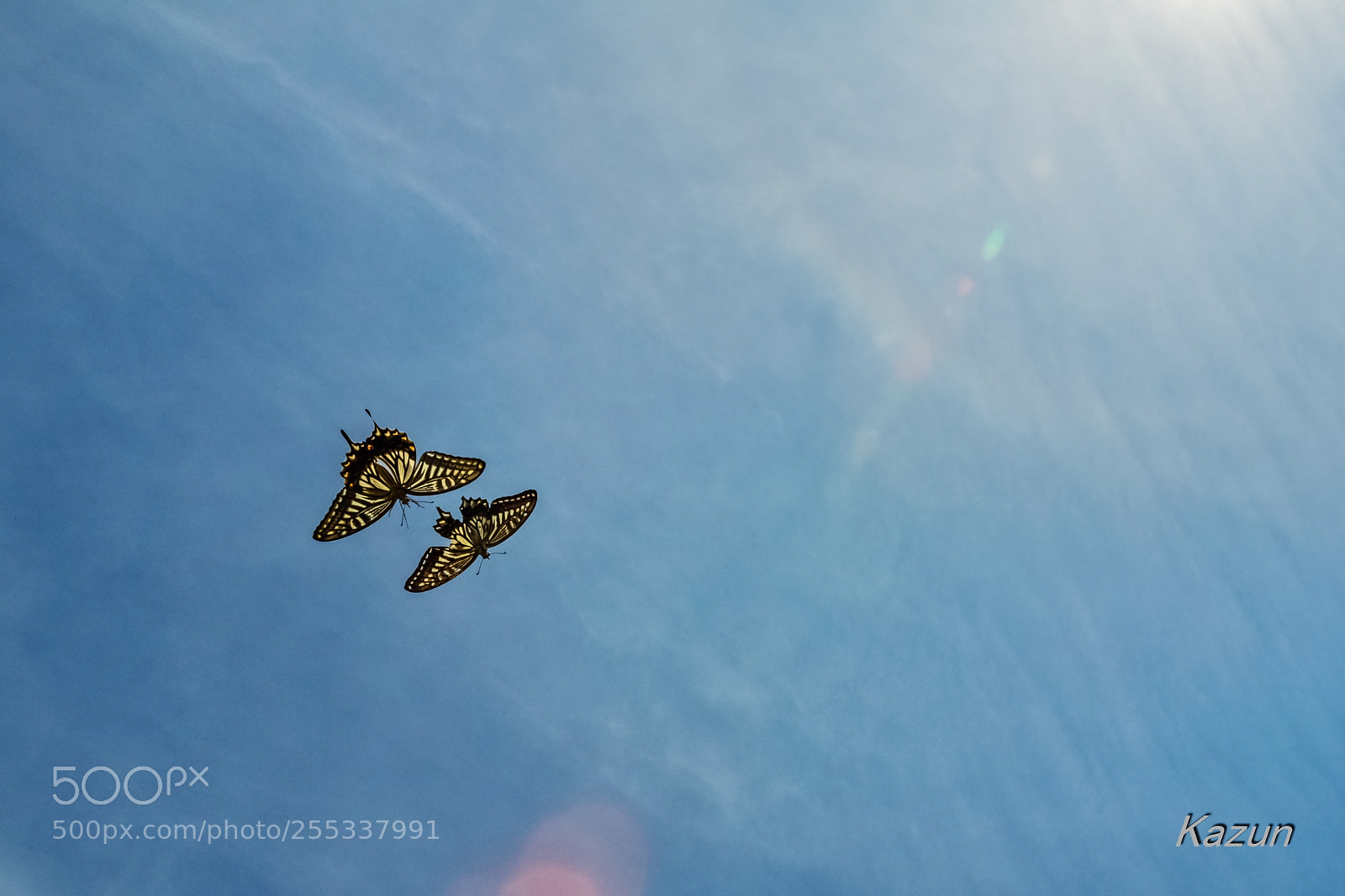 Nikon D5 sample photo. Sky date! photography