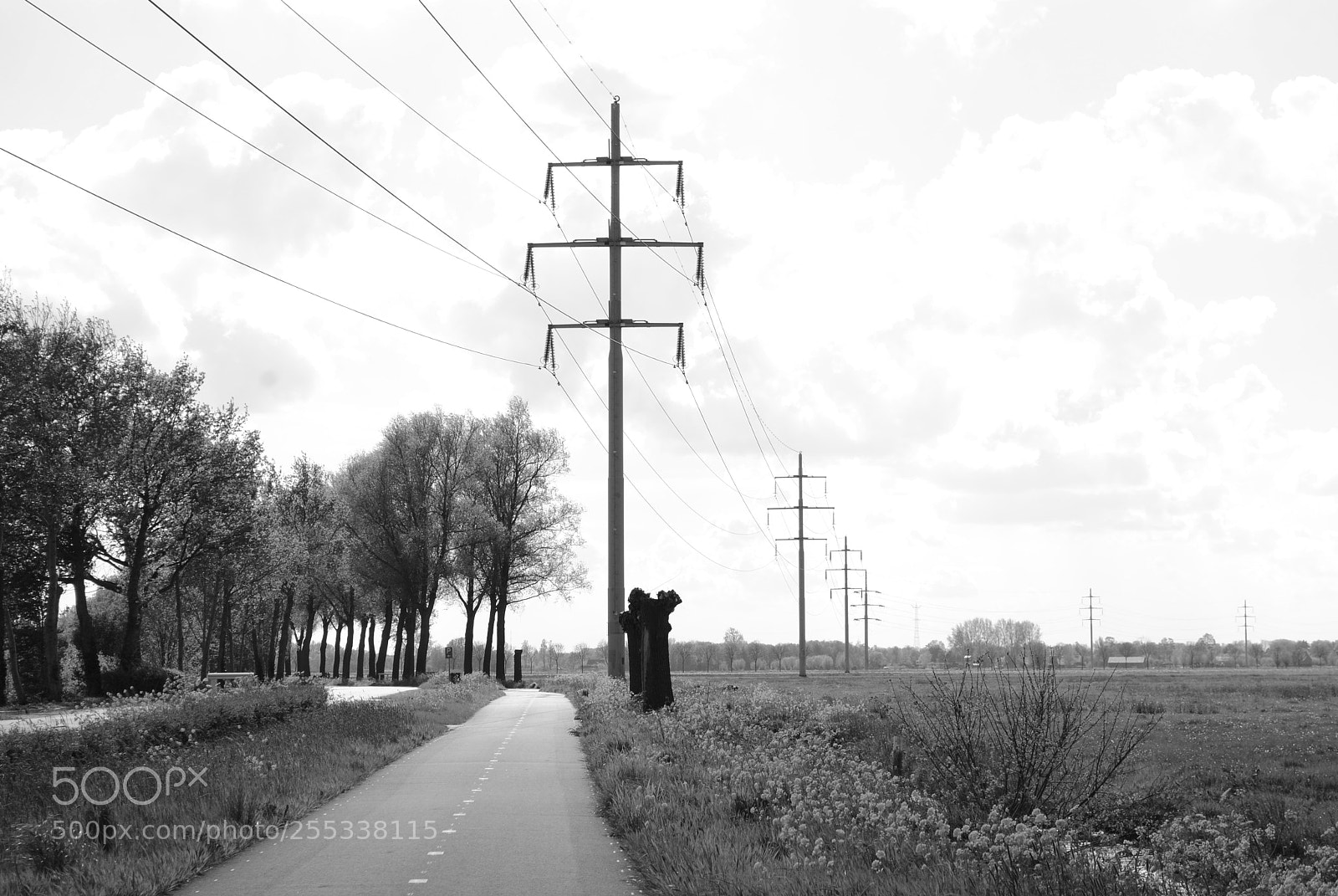 Nikon D3000 sample photo. #cool photography