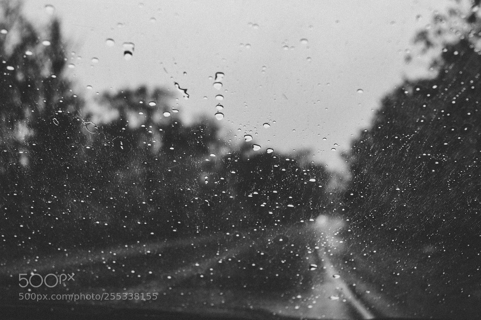 Canon EOS 80D sample photo. Drops on a windshield photography