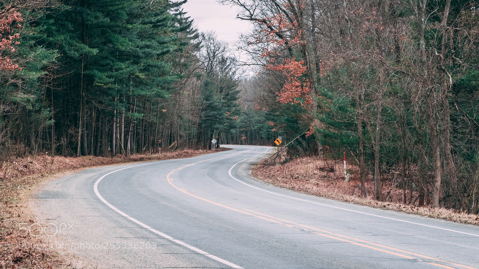 Canon EOS 80D sample photo. Winding road photography