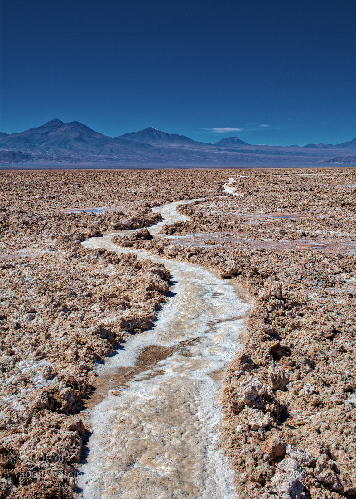 Nikon D5200 sample photo. Salty trail photography
