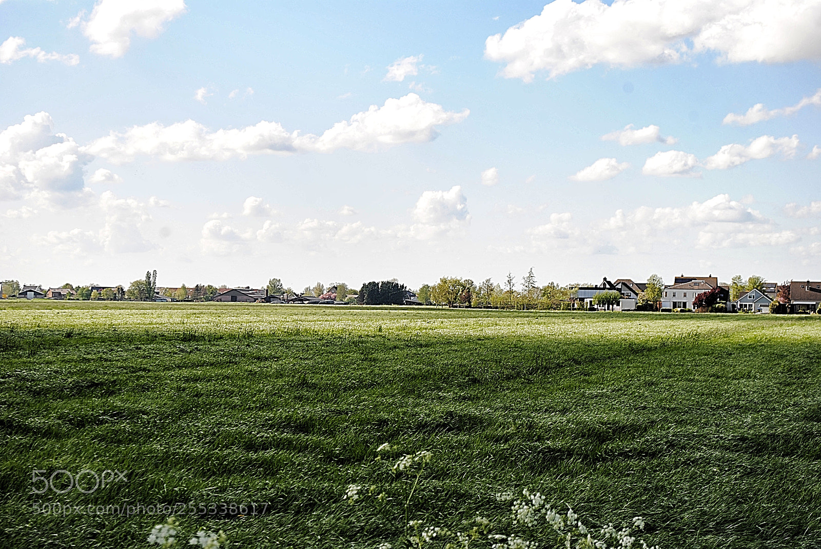 Nikon D3000 sample photo. Nature photography