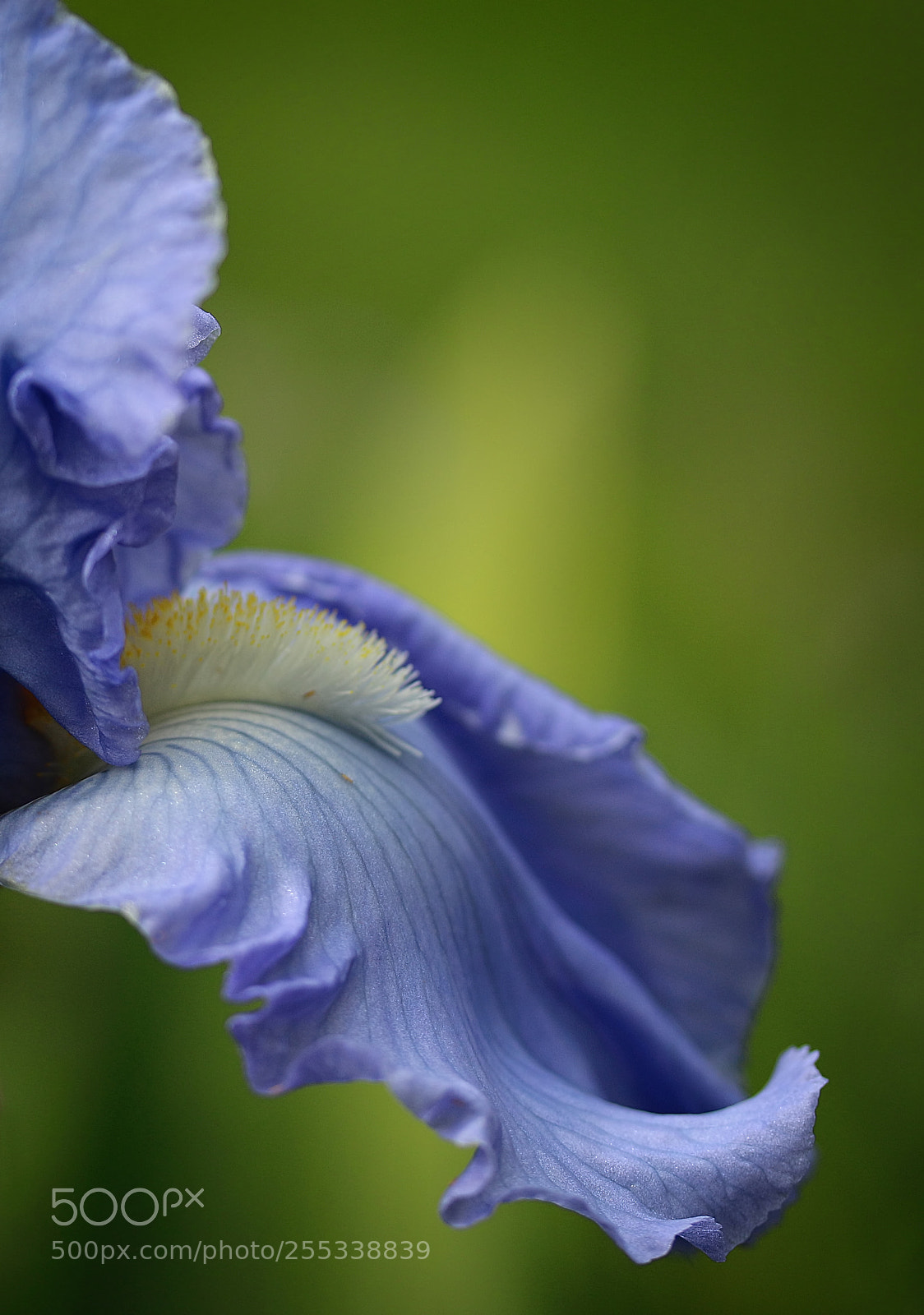 Canon EOS 70D sample photo. Emerge photography