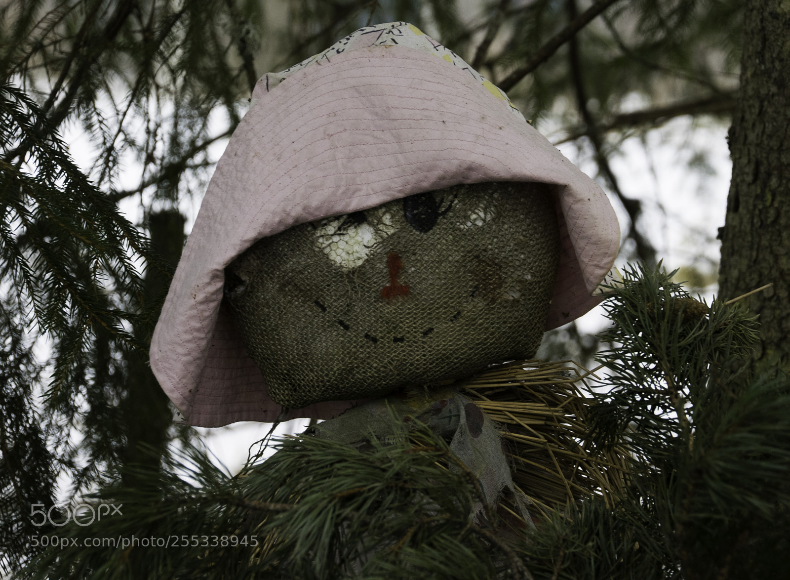 Nikon D5300 sample photo. Dollface o photography