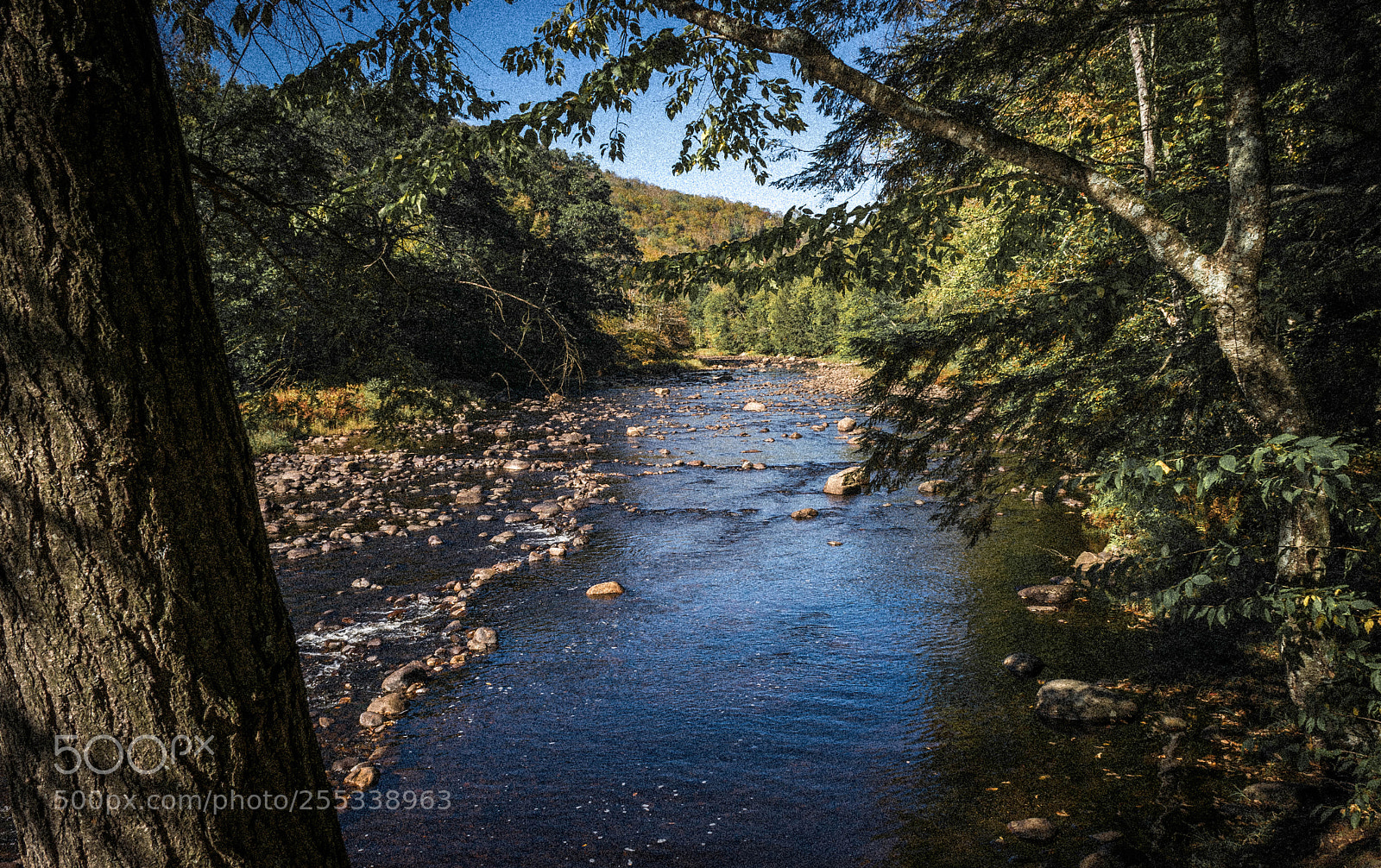 Nikon D5300 sample photo. Hope falls photography
