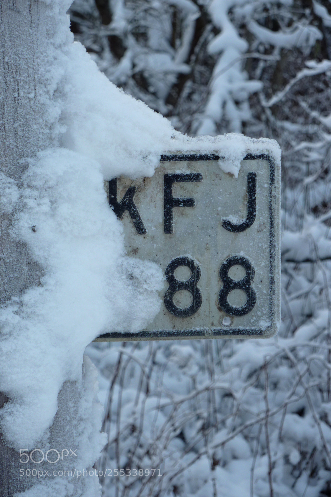 Panasonic DMC-TZ7 sample photo. Licenseplate o photography