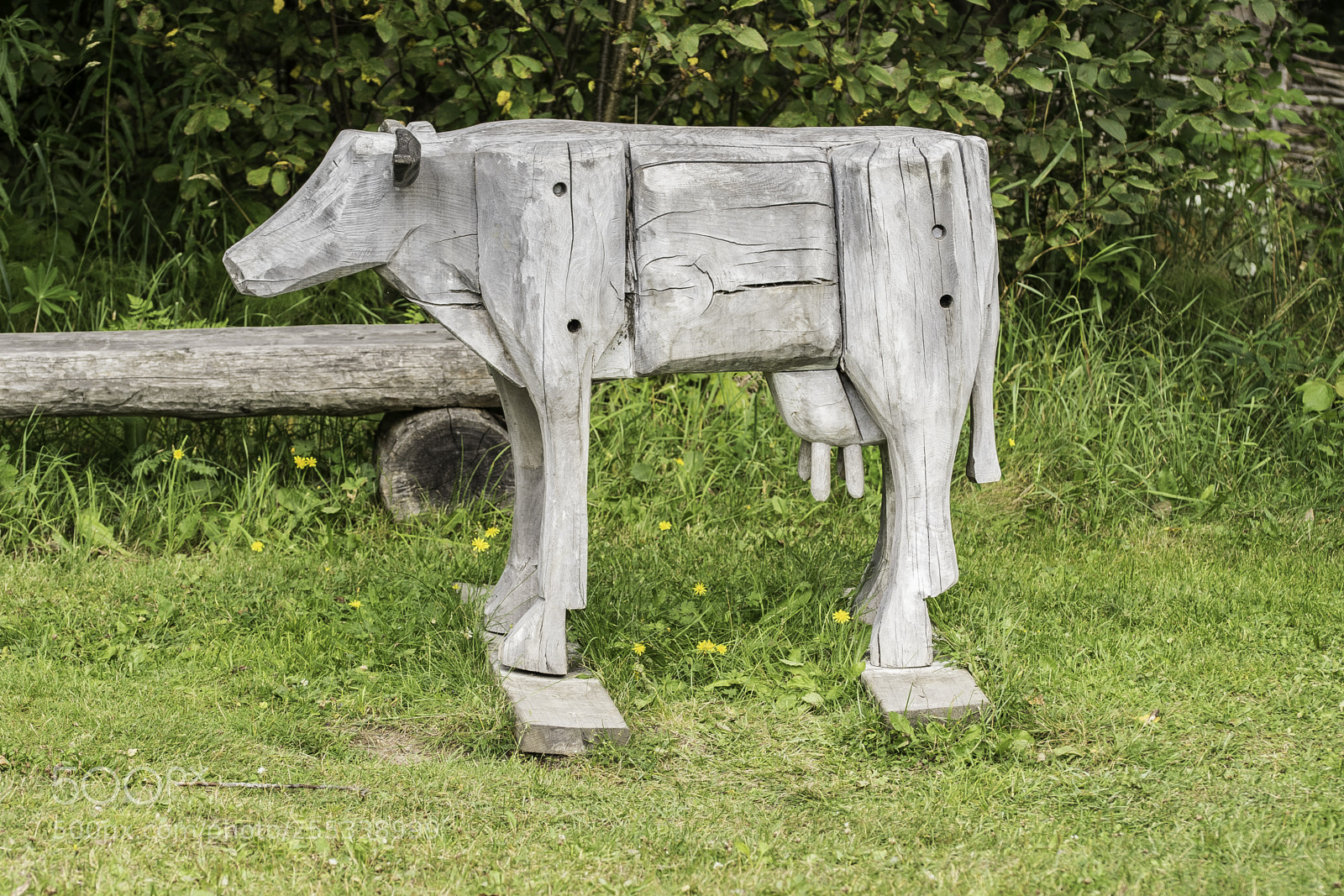Nikon D5300 sample photo. Wooden cow o photography