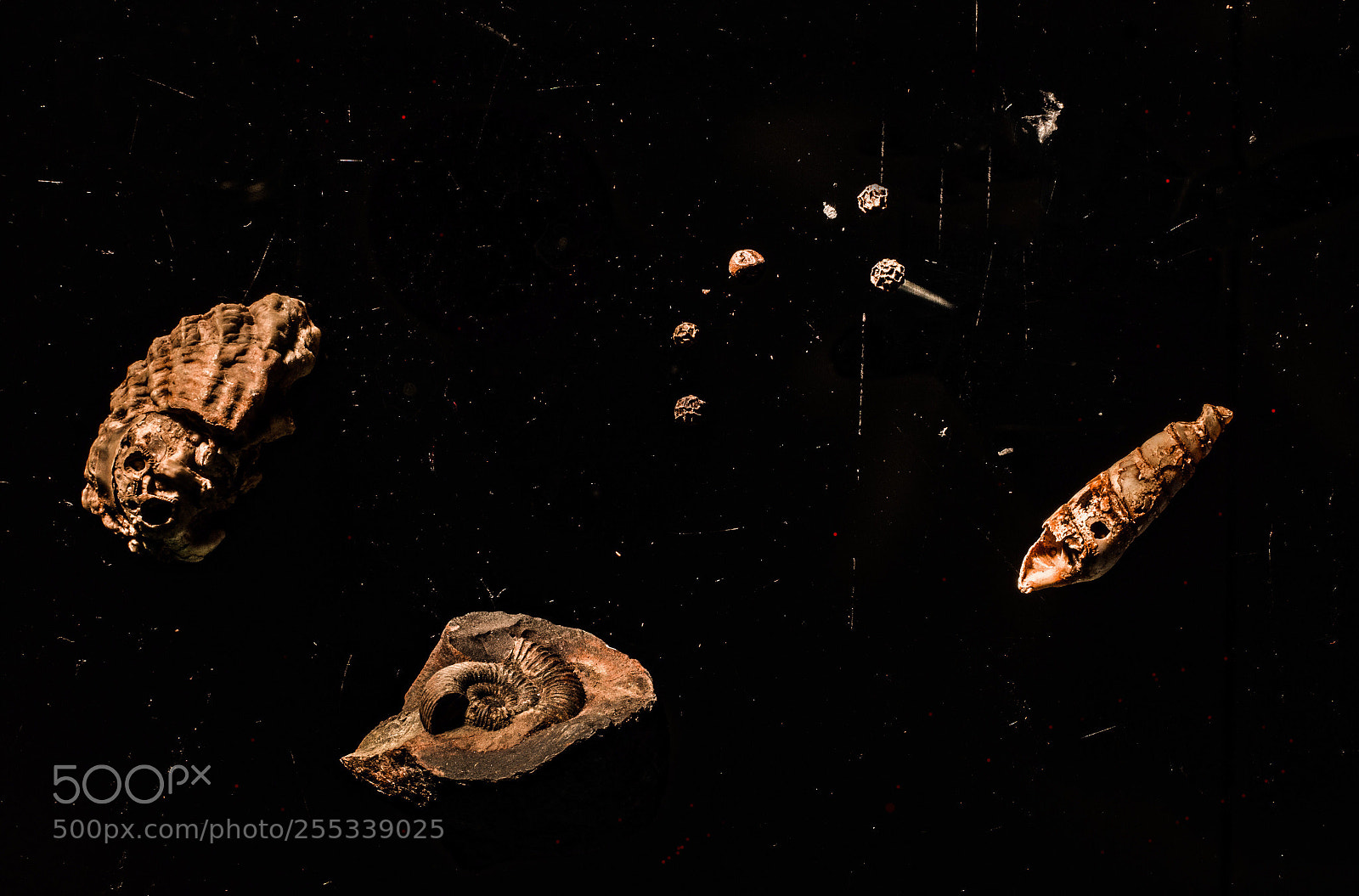 Nikon D810 sample photo. A universe photography