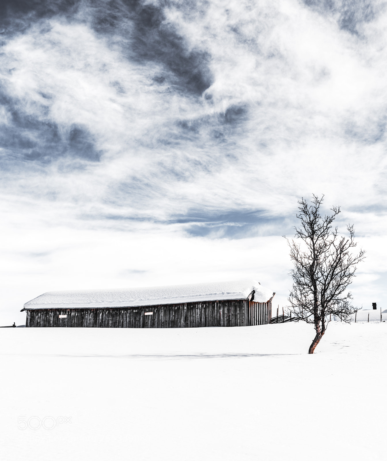 Sony a7R III sample photo. A moment of white photography