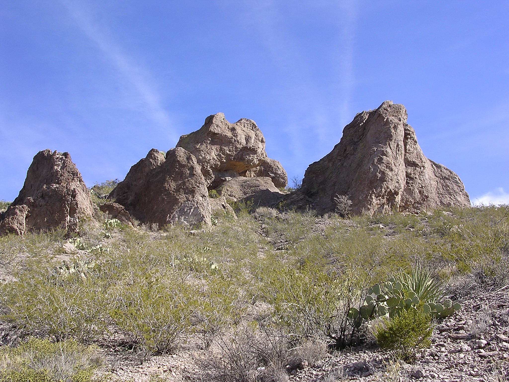 Nikon E3100 sample photo. Dona ana mtns photography