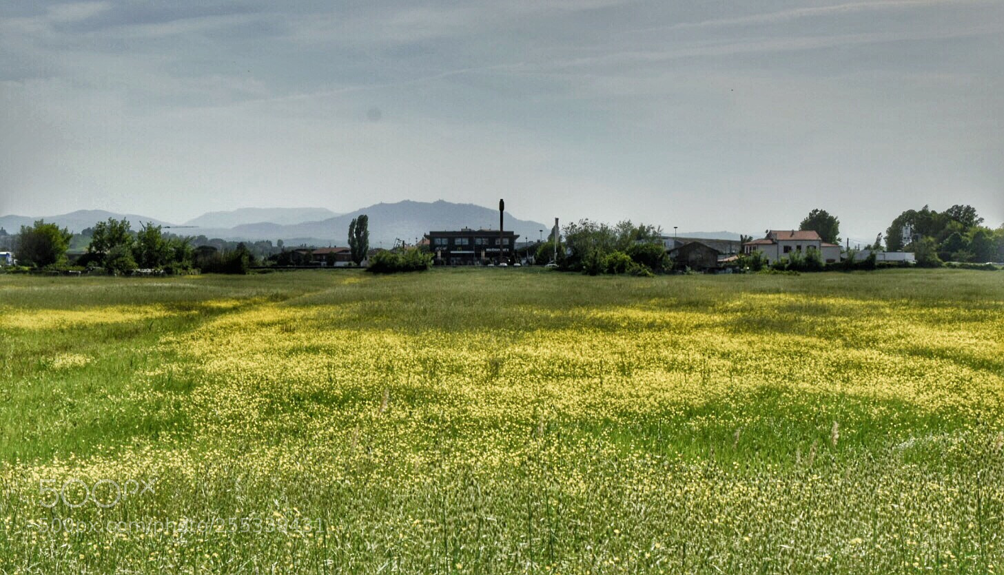 Nikon D3300 sample photo. Green spring photography