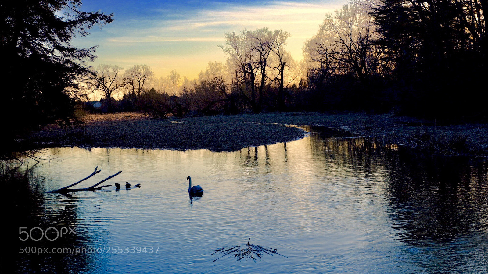 Fujifilm GFX 50S sample photo. Lynde shores conversation area 自然保護區掠影 photography