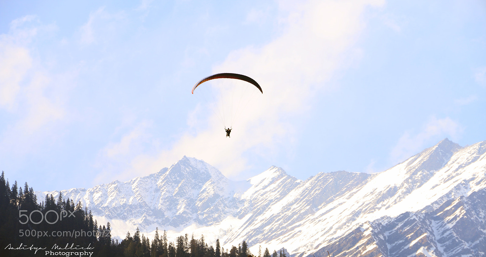Canon EOS 70D sample photo. Just fly. photography