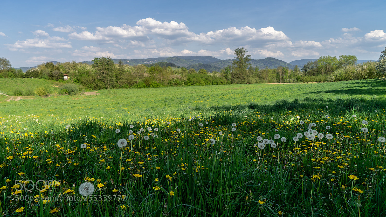 Sony a7 II sample photo. Blick auf den schwarzwald photography