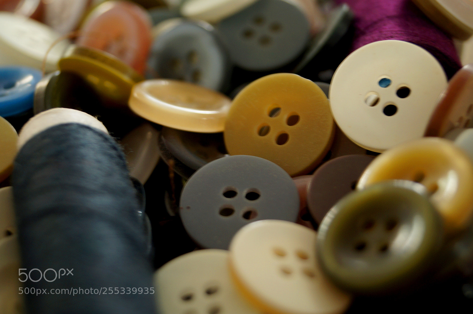 Sony SLT-A58 sample photo. Cgdrafts photography