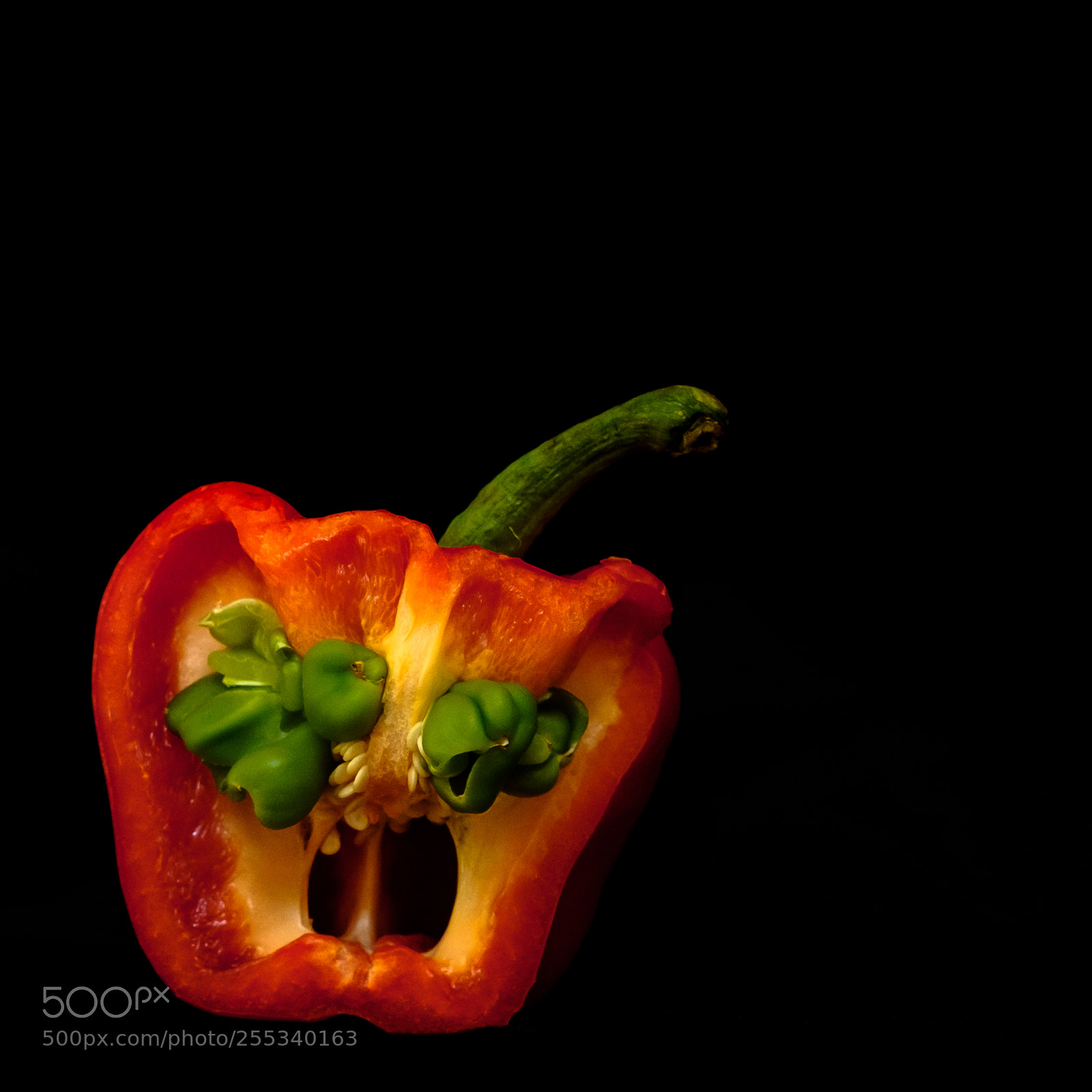 Fujifilm X-Pro2 sample photo. Pepper #1 photography