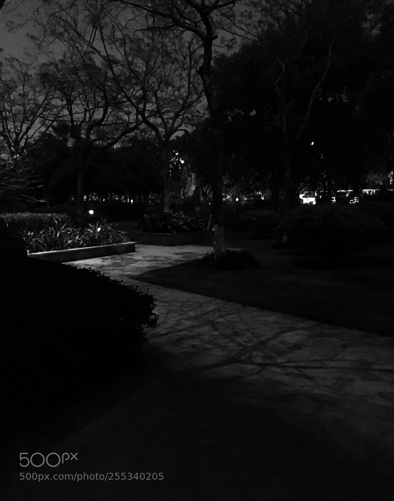Apple iPhone 6s sample photo. 4.26.ls photography
