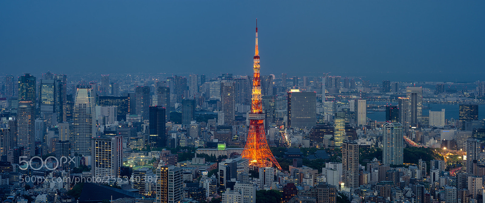 Nikon D7200 sample photo. Roppongi photography