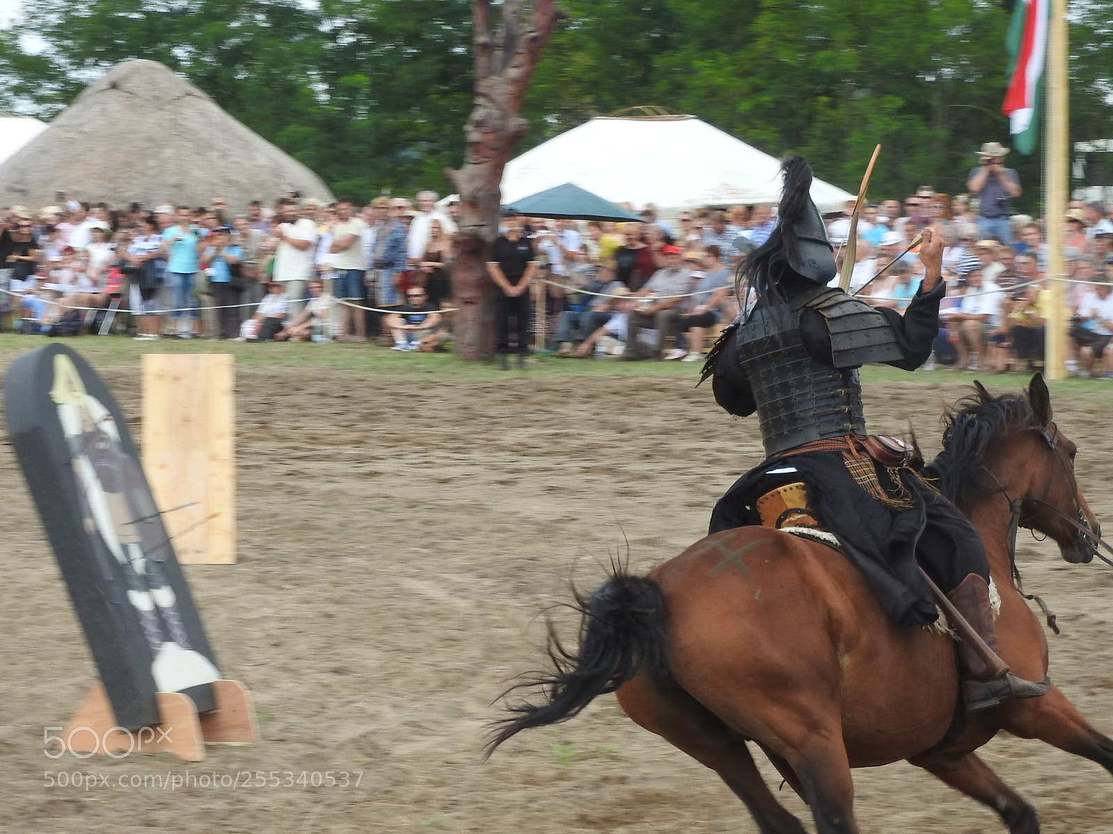 Nikon Coolpix P610 sample photo. Horse archery photography