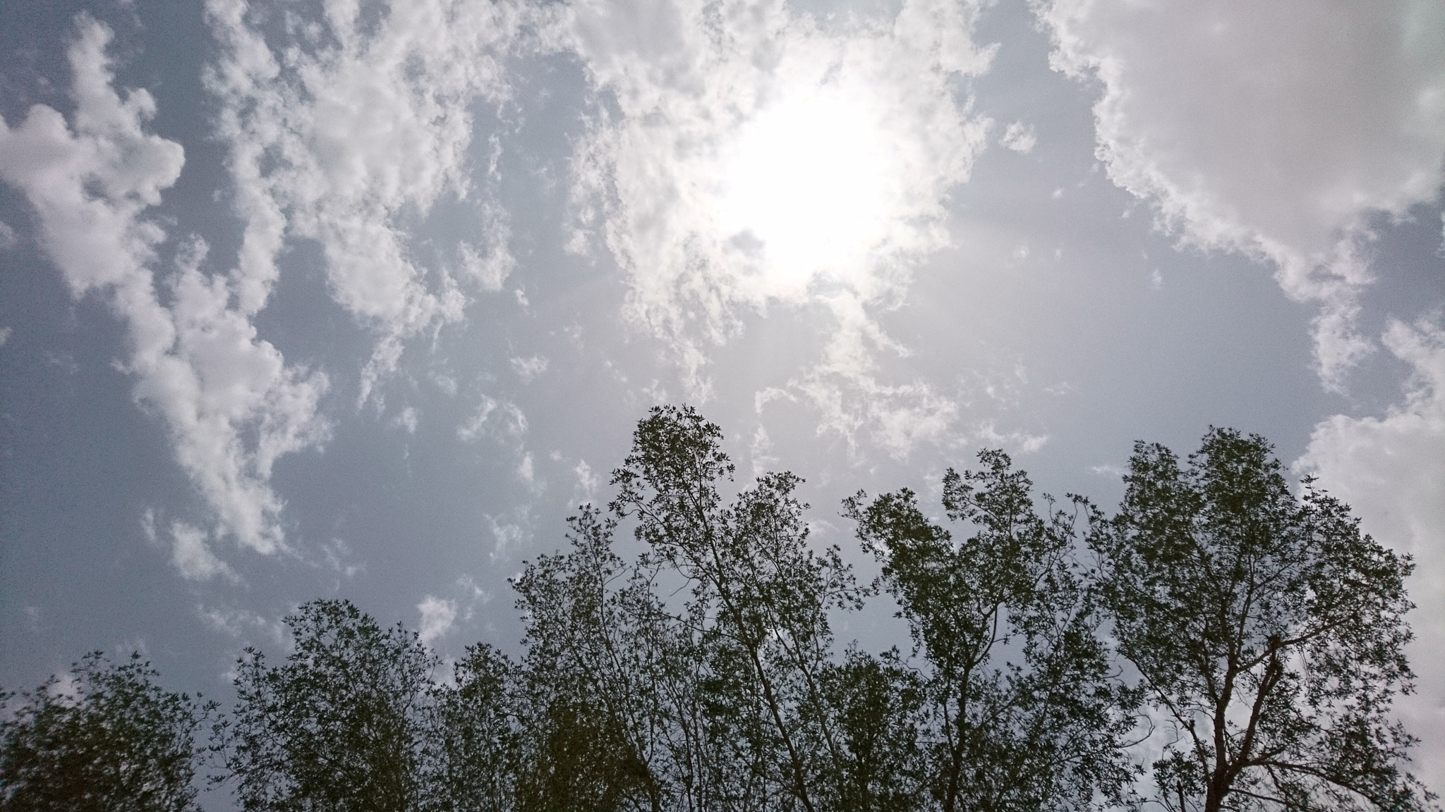 Sony Xperia X sample photo. Sunshine photography