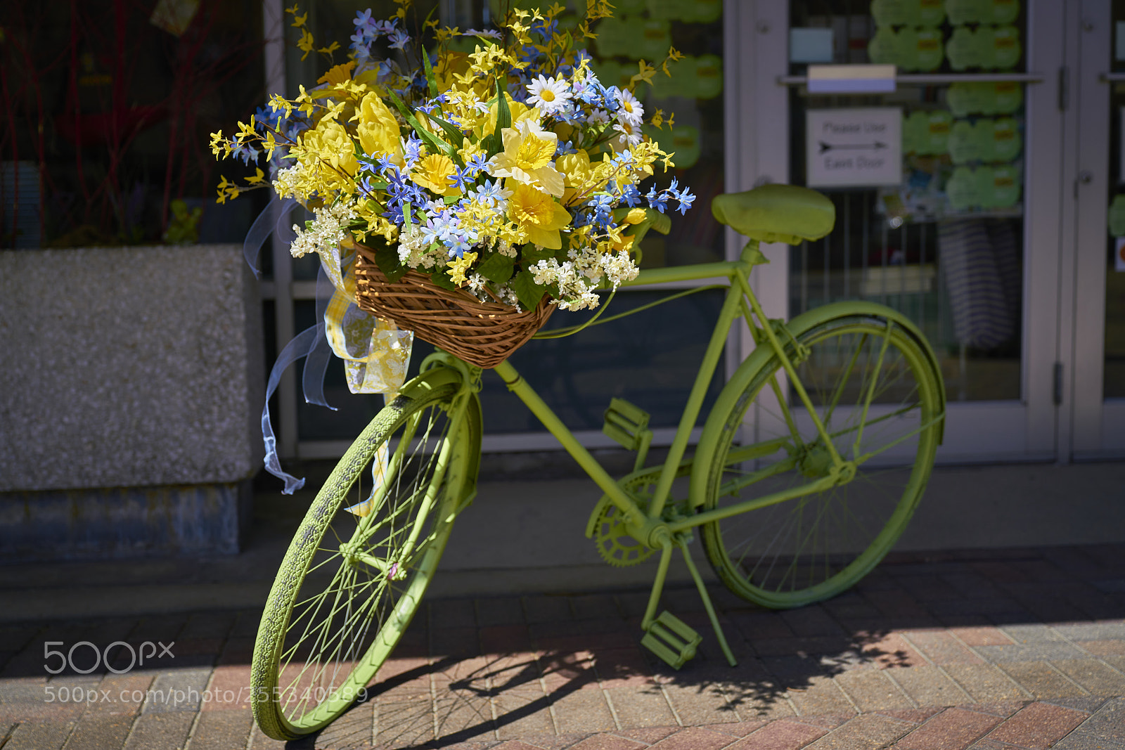 Sony a7R II sample photo. Spring personified photography