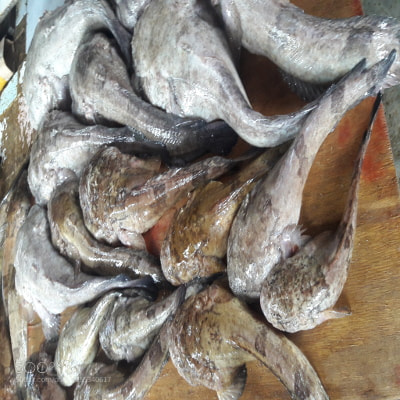 Samsung Galaxy J7 sample photo. Fishy fish views(11) photography