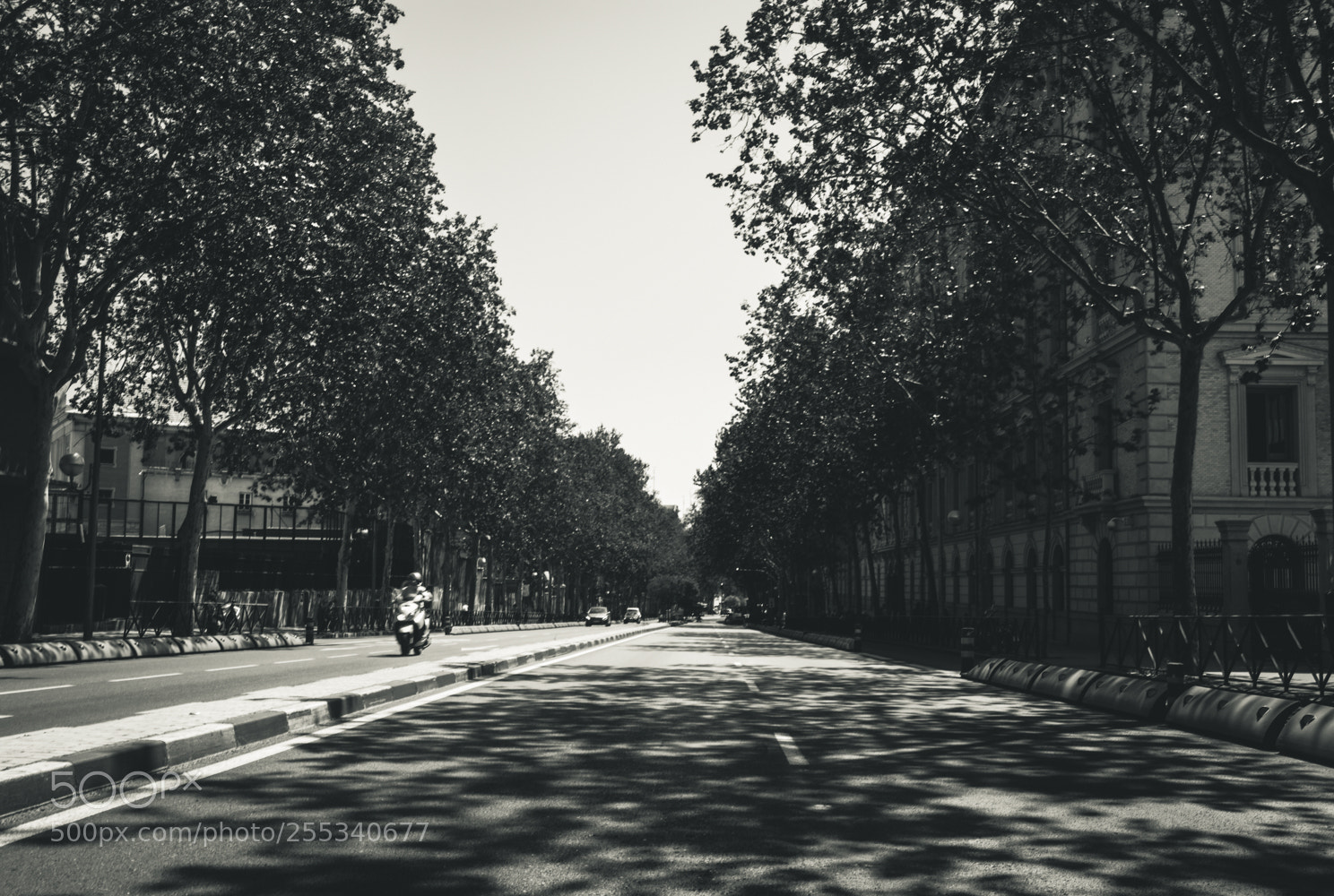 Fujifilm X-T20 sample photo. B&w photography
