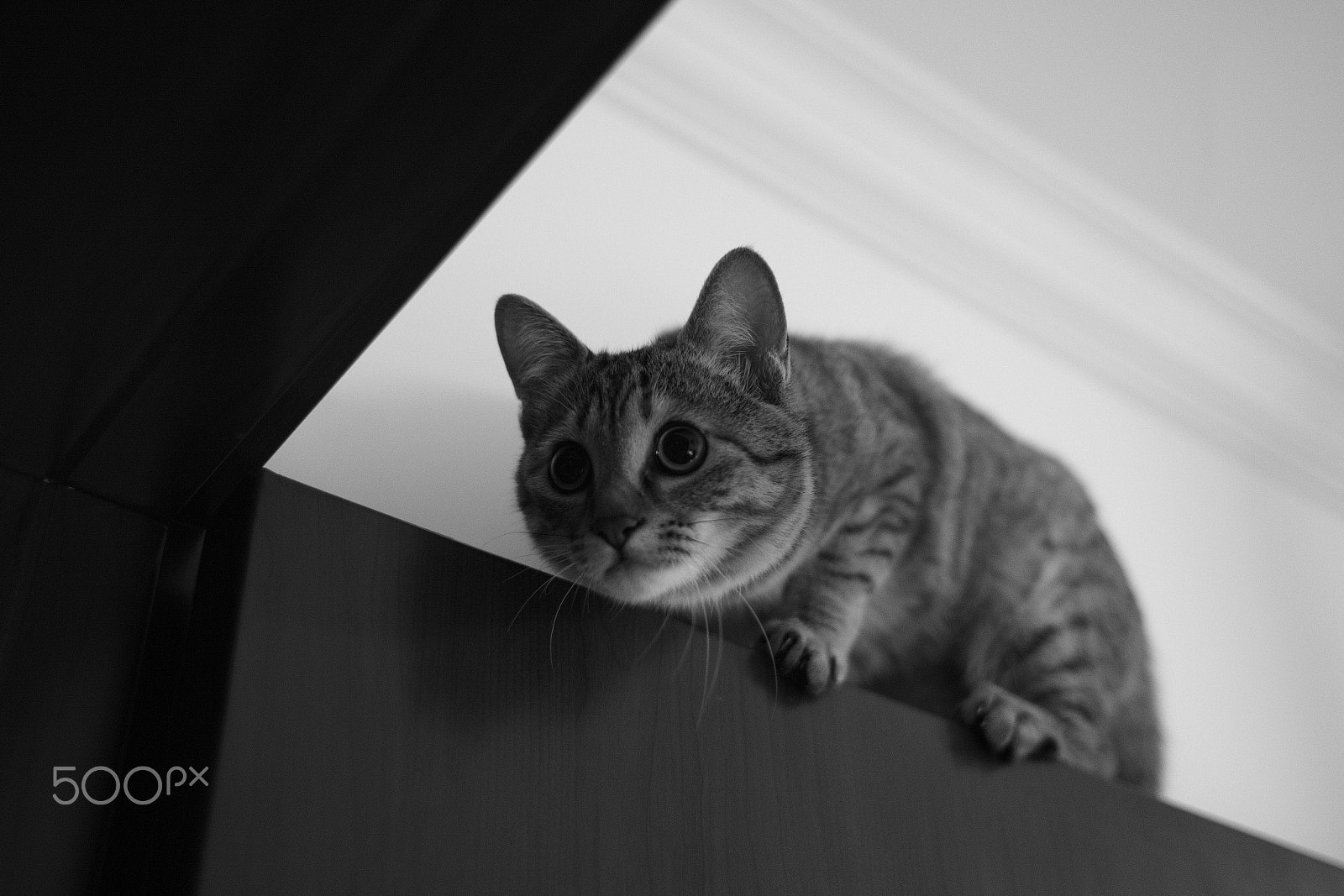 Leica M Monochrom (Typ 246) sample photo