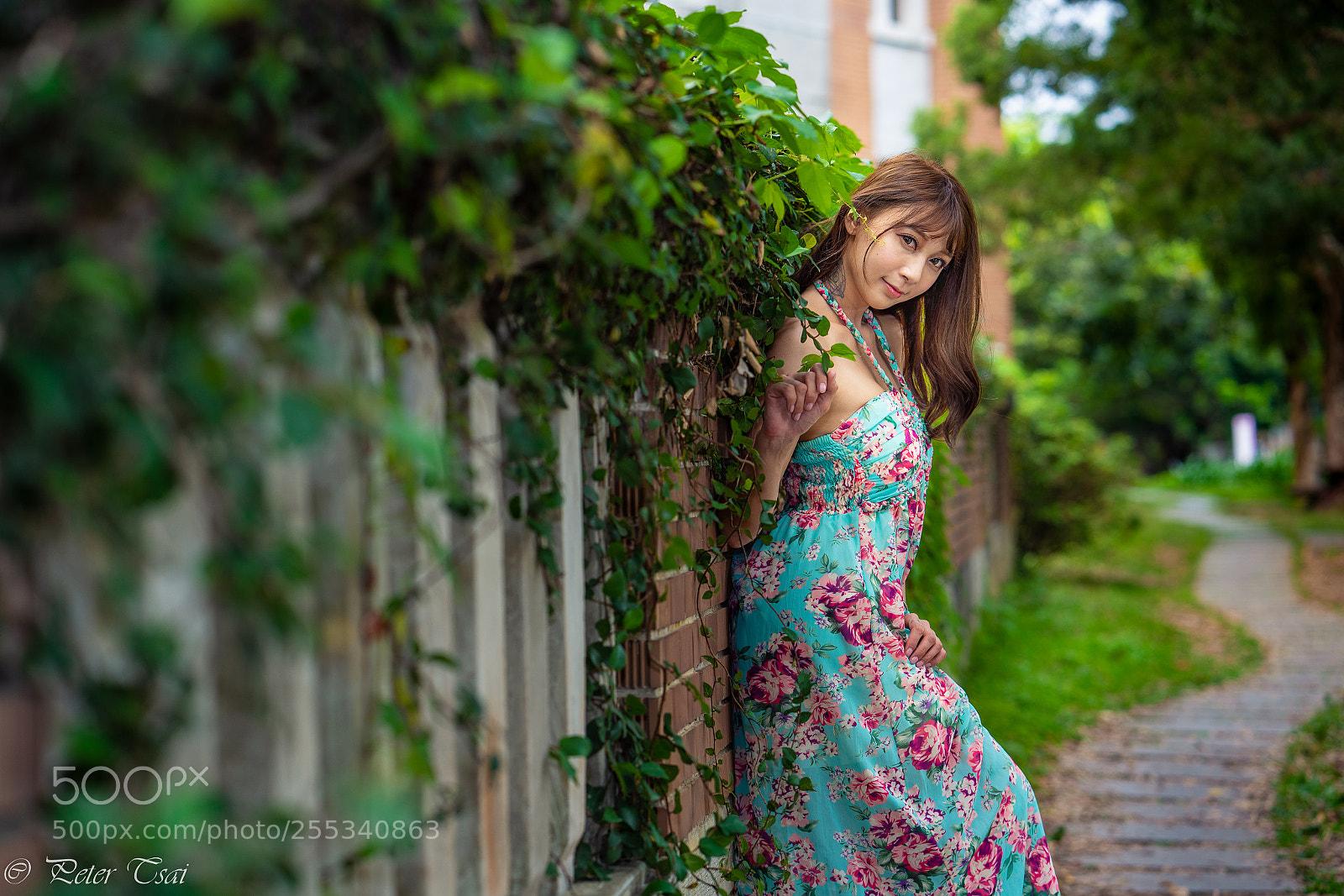 Sony a7R III sample photo. 羋夢 photography